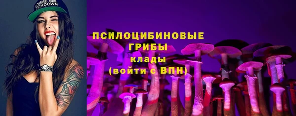 спиды Алексин