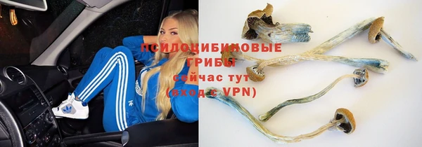 ешки Алексеевка