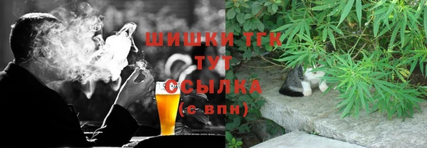 спиды Алексин