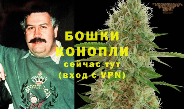ешки Алексеевка