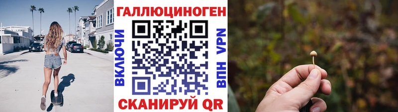 Галлюциногенные грибы Psilocybe купить закладку Брянск